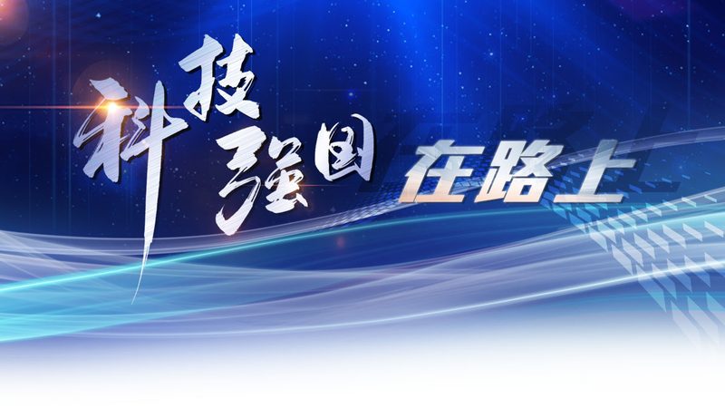 企业搜索系统安装：五大关键注意事项**