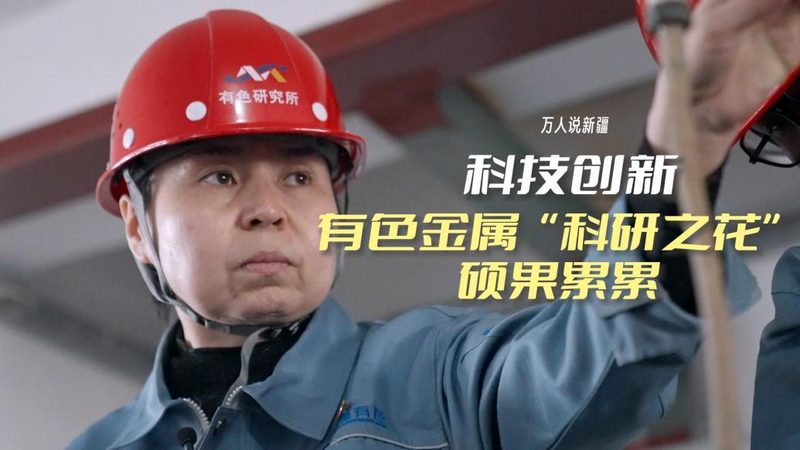 标准实施：政务信息化建设标准规范的实施，应当遵循以下原则：